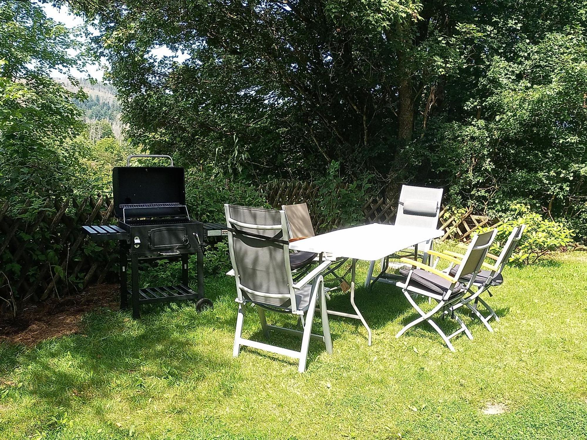 Ferienwohnung Endora Im Harzer Stil, Handgefertigte Moebel - Wlan-Garage Hohegeiß Exterior foto